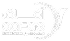 Aafaq Islamic Finance PSC